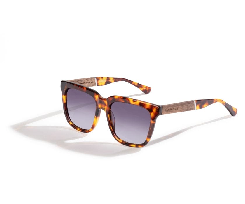 Stella and dot store sunglasses